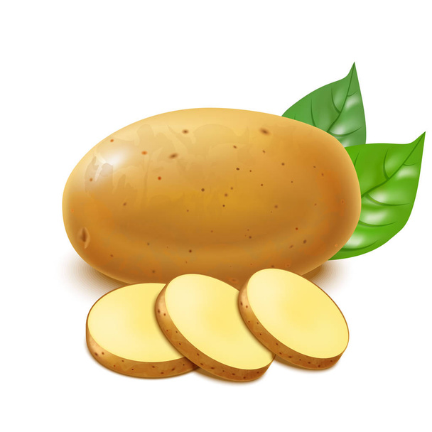 Realistic Detailed 3d Whole Potatoes and Slices. Vector - Вектор, зображення