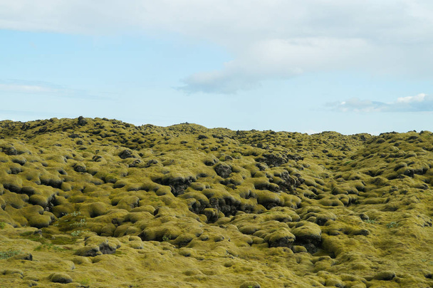 Laavakenttä peitetty vihreällä sammalta, Islanti
. - Valokuva, kuva