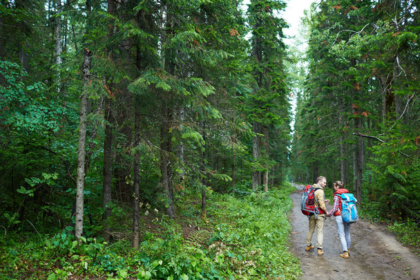 Молодые туристы разговаривают во время движения по лесу
 - Фото, изображение