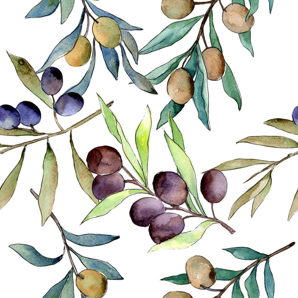 Patrón de olivo en un estilo de acuarela
. - Foto, Imagen