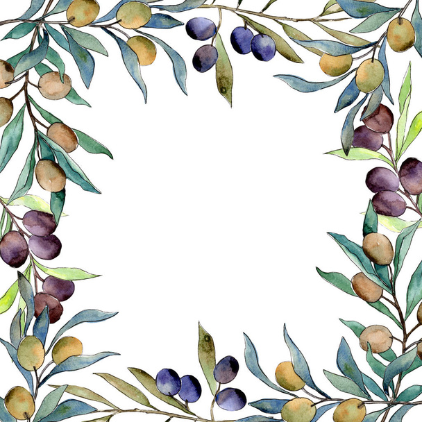 Olive tree frame in a watercolor style. - Zdjęcie, obraz