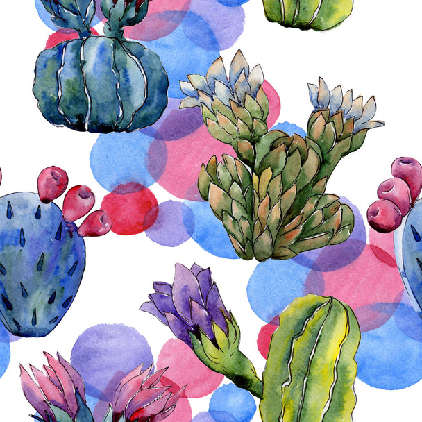 Wildflower cactus flower pattern in a watercolor style. - Foto, Bild