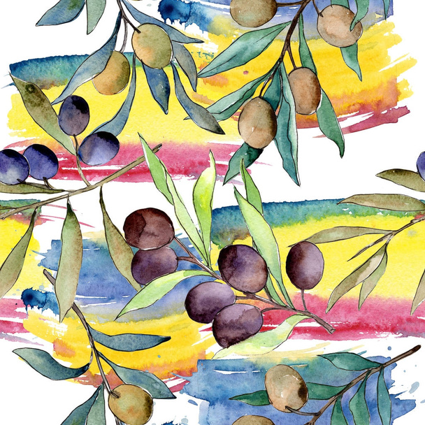 Olive tree pattern in a watercolor style. - 写真・画像