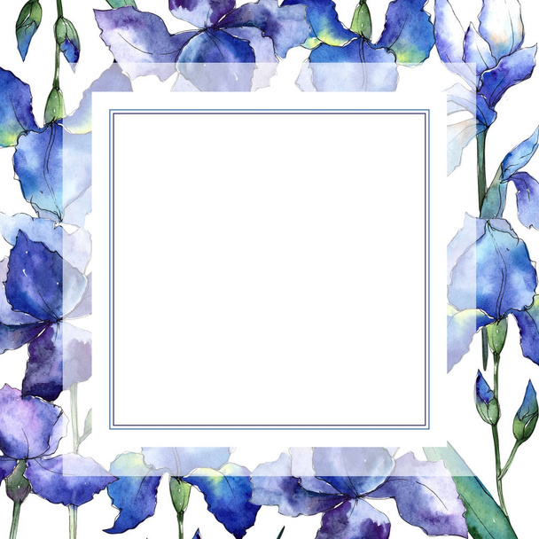 Wildflower iris flower frame in a watercolor style. - Фото, зображення