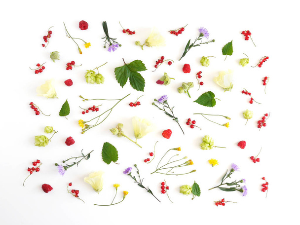 Composition with currants, green leaves, hop plants, pink and yellow hollyhocks - Fotó, kép