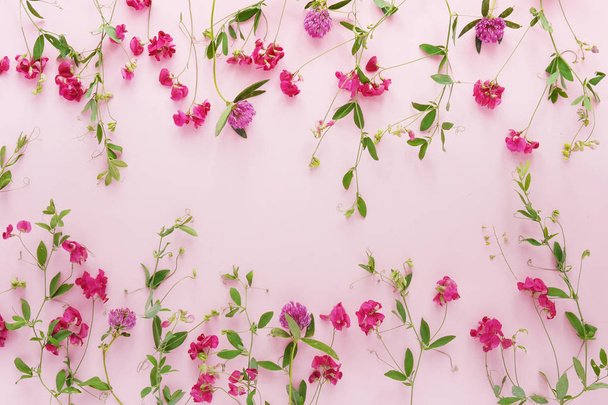 Tatlı bezelye ve yonca çiçek pembe bir arka plan üzerinde çiçek kompozisyonu - Fotoğraf, Görsel