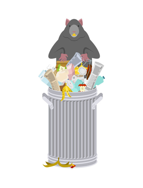 Rat in garbage can. Rodent in trash. big mouse in Dumpster. Vect - Vector, Image
