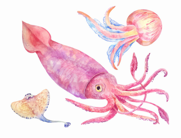 watercolor squid, batoidea, jellyfish - Vector, Imagen