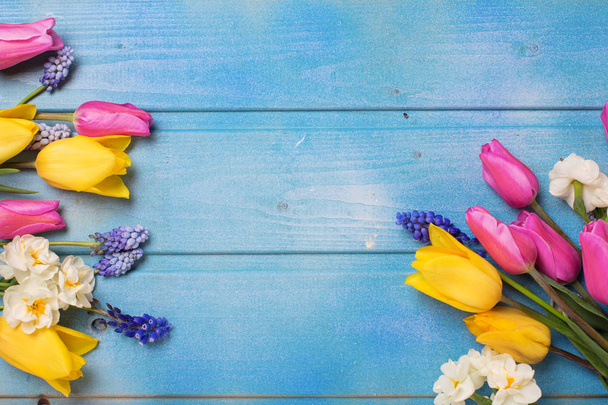 Frame from pink, yellow tulips and white daffodils on blue wooden background. Top view. - Foto, imagen