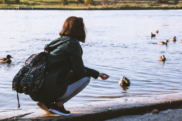 Молода дівчина годує качок на озері навесні
 - Фото, зображення