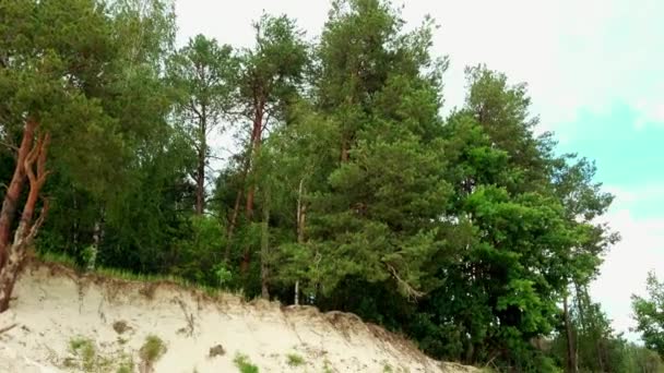 Sand dunes near lake in middle European plain - 映像、動画