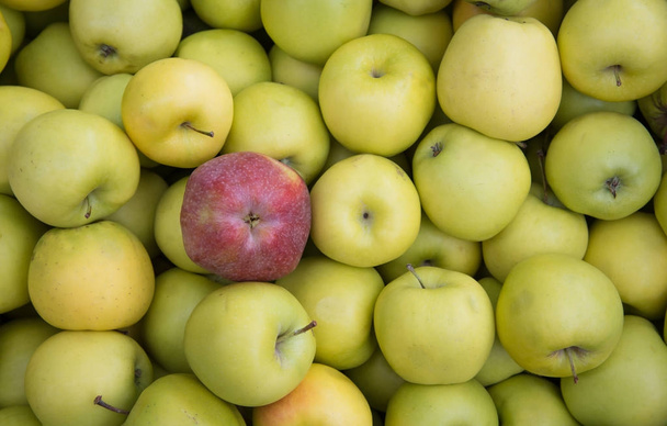 Verse gezonde groene en rode appels op een fruitmarkt - Foto, afbeelding
