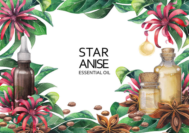 Watercolor star anise design - Фото, изображение