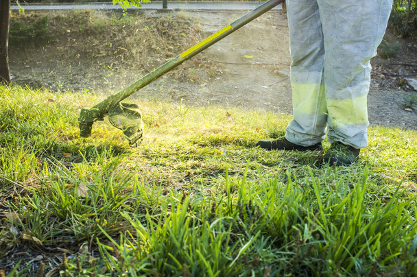 Zahradník, sečení trávy s sekačky v parku - Fotografie, Obrázek