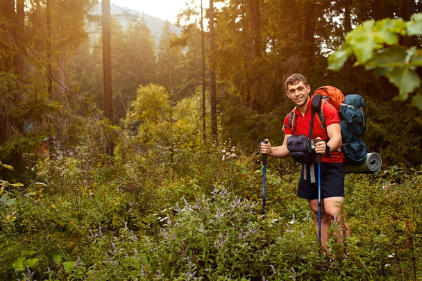 aktív egészséges ember túrázás gyönyörű erdőben - Fotó, kép