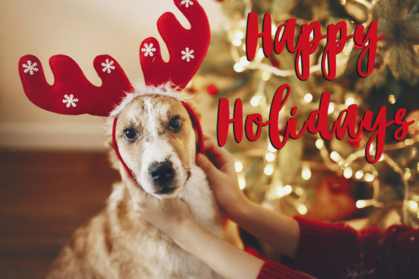 happy holidays text, seasons greetings, merry christmas  - Fotografie, Obrázek