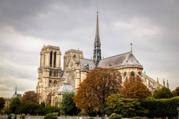 Notre-Dame de Paris - Fotografie, Obrázek