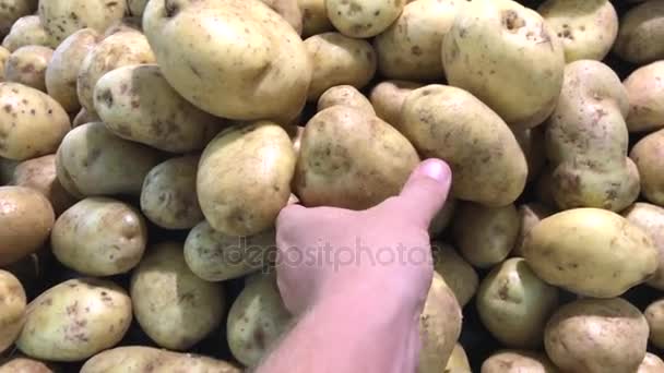 Patata orgánica de granja cruda en el mercado. Asia. Hombre mano elegir la patata
. - Metraje, vídeo