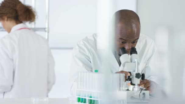 4K Research scientist working in laboratory, looking at sample under microscope. - Metraje, vídeo