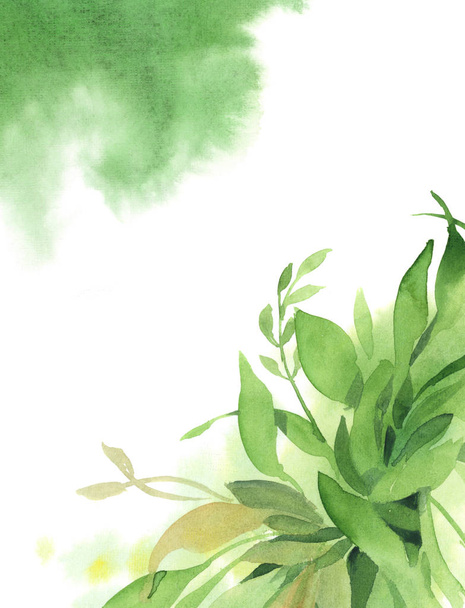 Watercolor green background of green branch, leaves and splash - Valokuva, kuva