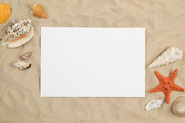 Seashells on sand with white square paper, summer travel - Valokuva, kuva