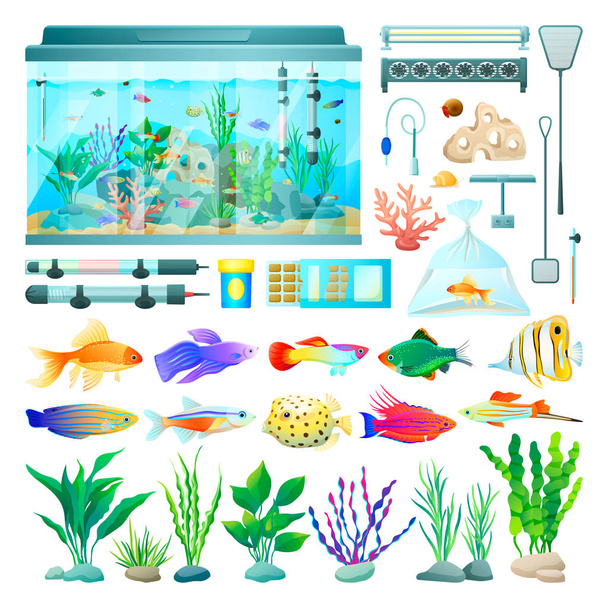 Aquarium and Fish Set of Icons Vector Illustration - Vektori, kuva