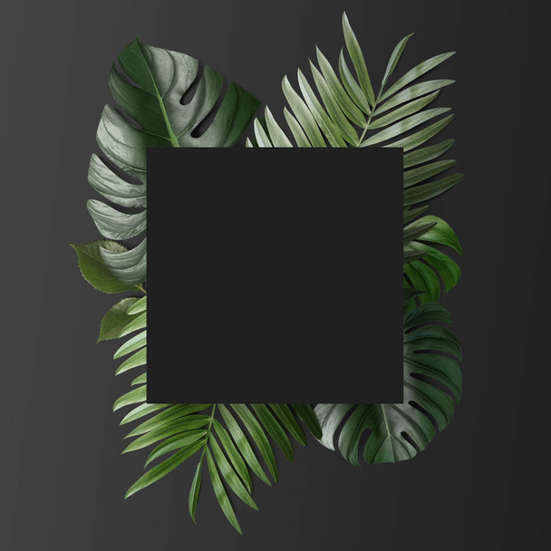 пустая бумажная карточка с зелеными тропическими листьями на сером фоне
 - Фото, изображение