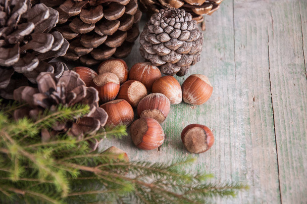 Christmas decor with cones and nuts - Фото, изображение