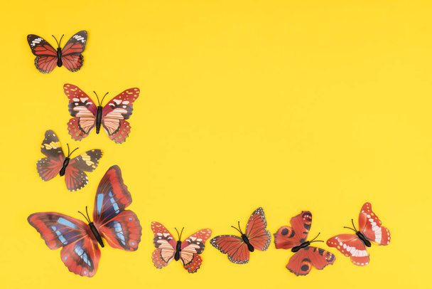 decorative butterflies on a colored background - Zdjęcie, obraz