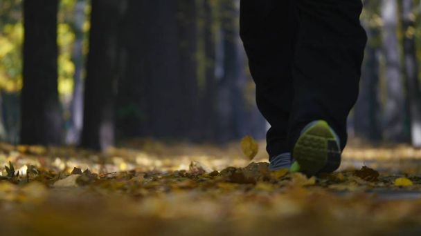 Man walking with yorkshire terrier . Dog standing with leash on autumnal path - Foto, afbeelding