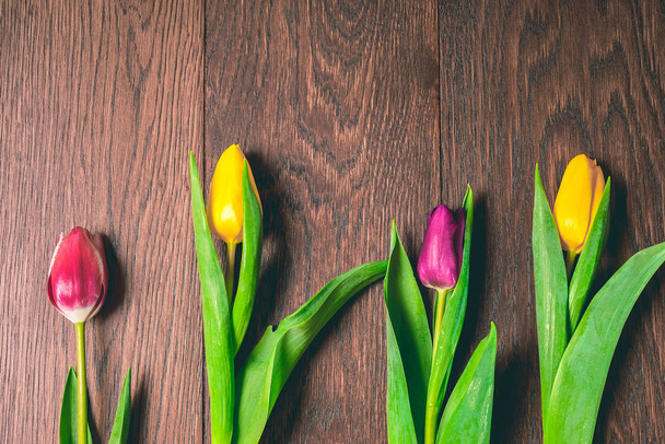 several multicolored tulips lie on a wooden table - Foto, immagini