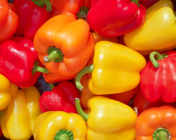 kleurrijke paprika, natuurlijke achtergrond - Foto, afbeelding
