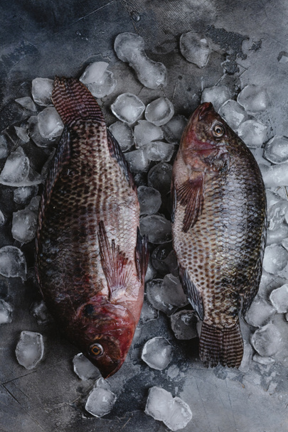 pohled shora na syrové mořské ryby na kostky ledu na grey - Fotografie, Obrázek