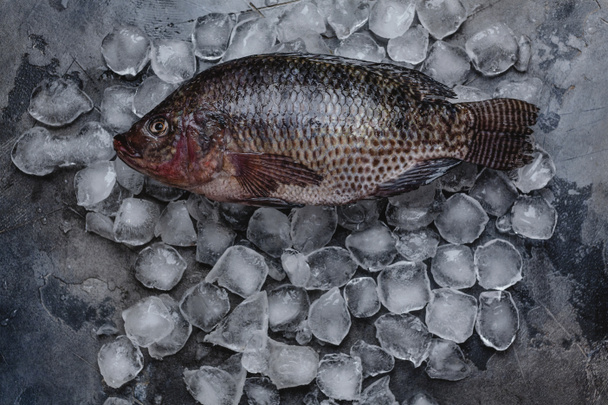 top view of fresh raw sea fish on ice cubes on grey  - Foto, imagen