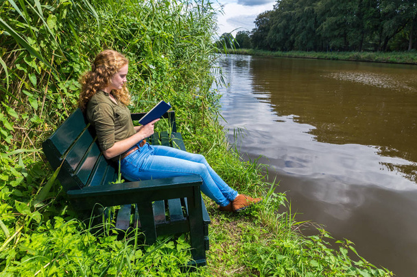 水でベンチで本を読んでオランダの女性 - 写真・画像