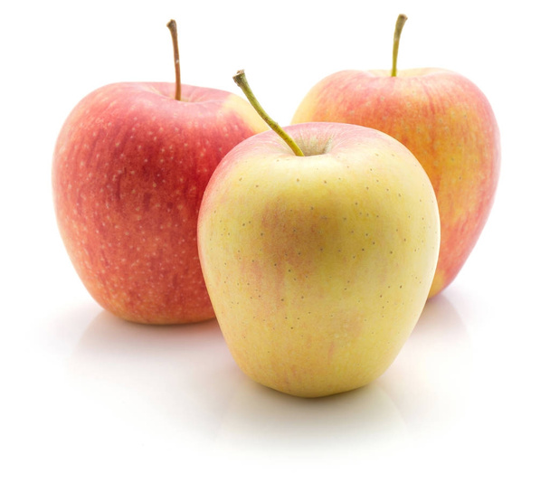 Üç elma (Evelina çeşitli) beyaz arka plan sarı kırmızı soluk gree izole - Fotoğraf, Görsel