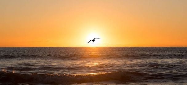 Un lever de soleil dans la mer avec des oiseaux volant
 - Photo, image