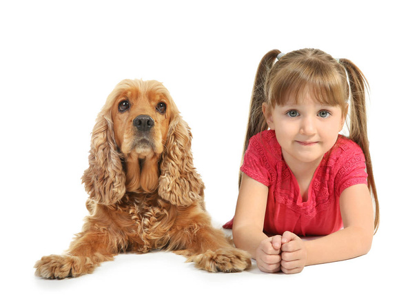 Cute little girl with funny dog on white background - Fotografie, Obrázek