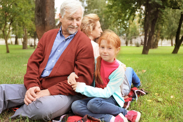 Happy senior couple with granddaughter in park - Photo, Image