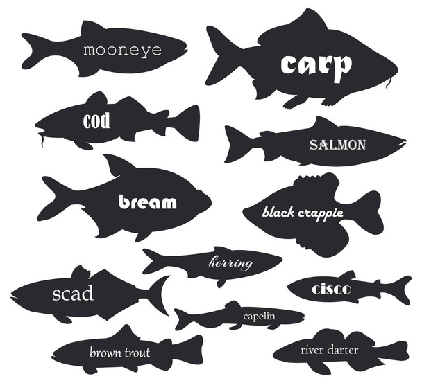 Коммерческие рыбные векторные силуэты с названиями каллиграфия. Иллюстрация силуэт рыбы реки и моря для вашего веб-дизайна
. - Вектор,изображение
