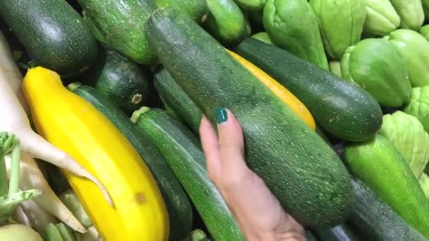 Frau wählt frische grüne und gelbe Bio-Zucchini auf dem Markt. Asien, Indonesien. - Filmmaterial, Video