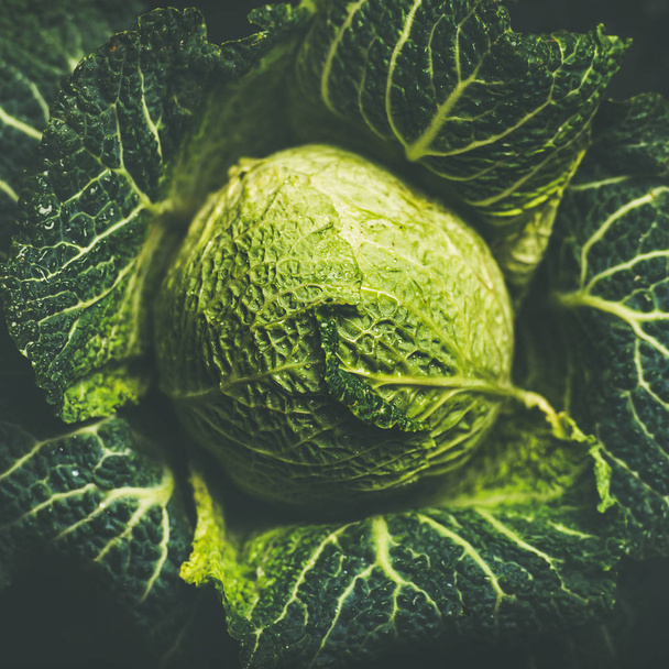 Fresh green cabbage - Фото, зображення