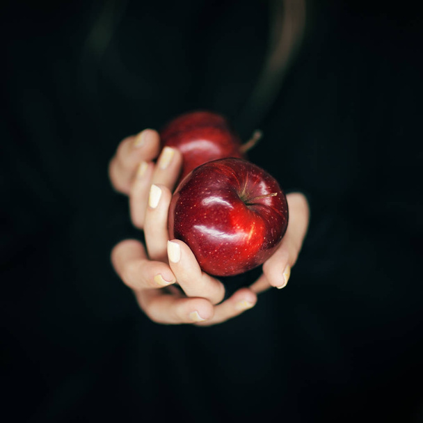woman hands holding some red apples, sensual studio shot with black backgound - 写真・画像
