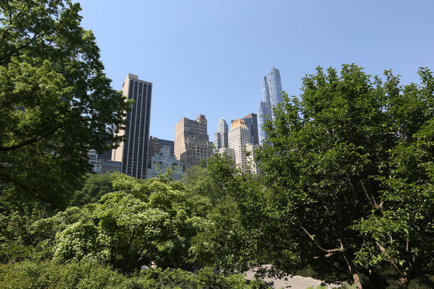 View on skyscrapers from forest. America, New York City - May 14, 2017 - Photo, image