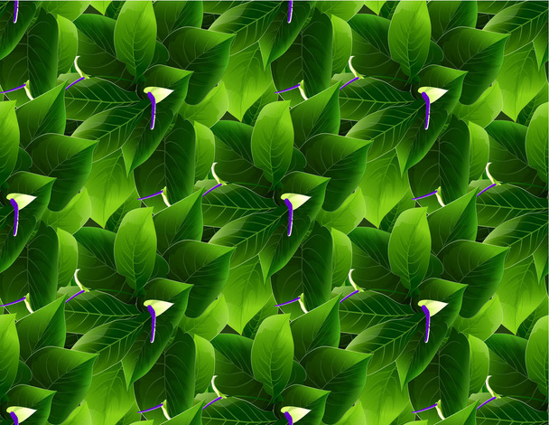 Piękne rośliny tropikalnej wyspie Diadem - Wektor, obraz