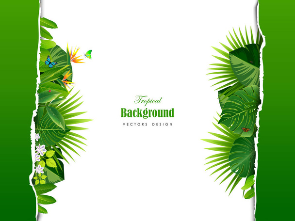 Тропический островной цирк из красивых растений
 - Вектор,изображение