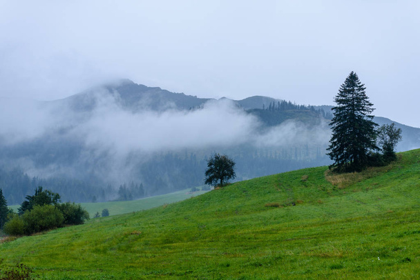 mlhavé ráno pohled v mokré horské oblasti slovenské Tatry. autu - Fotografie, Obrázek