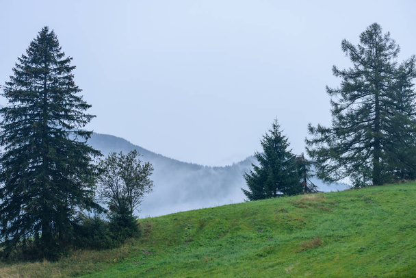 туманний вид вранці в мокрій гірській місцевості в словацькій татрах
 - Фото, зображення