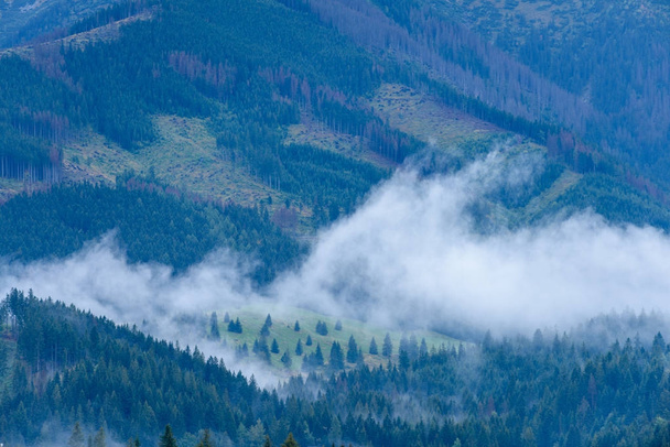 mlhavé ráno pohled v mokré horské oblasti v slovenské tatra - Fotografie, Obrázek