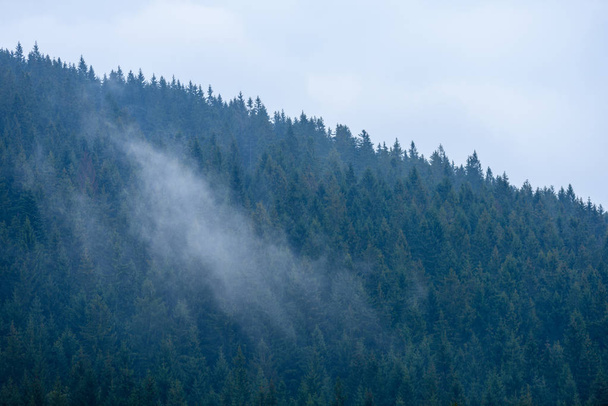 Туманный утренний вид на мокрой горной местности в слоупстайне. autu
 - Фото, изображение